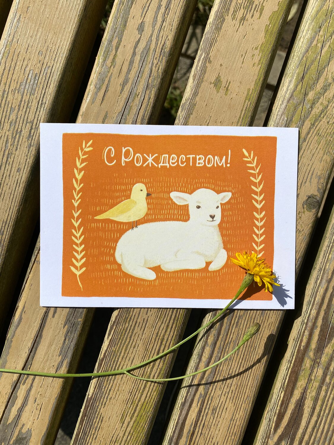 открытки, рождественские открытки, printing postcard, с рождеством христовым, поздравительные открытки с собакой корги