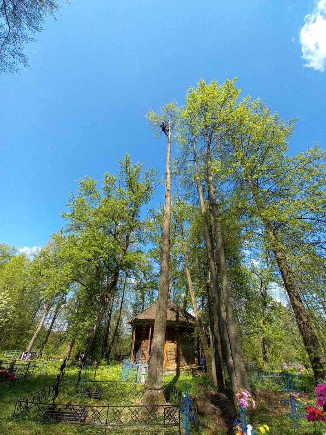 парк, мебель, дерево, в парке, церковь