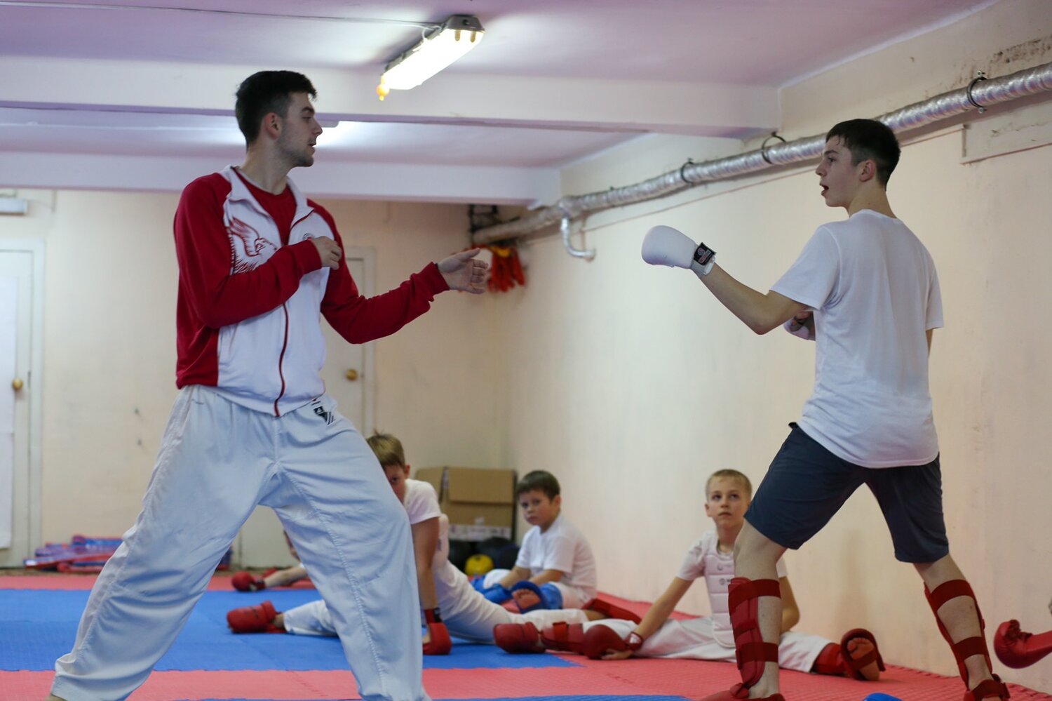 бокс мма, турнир, кикбоксинг, единоборства, кик боксинг