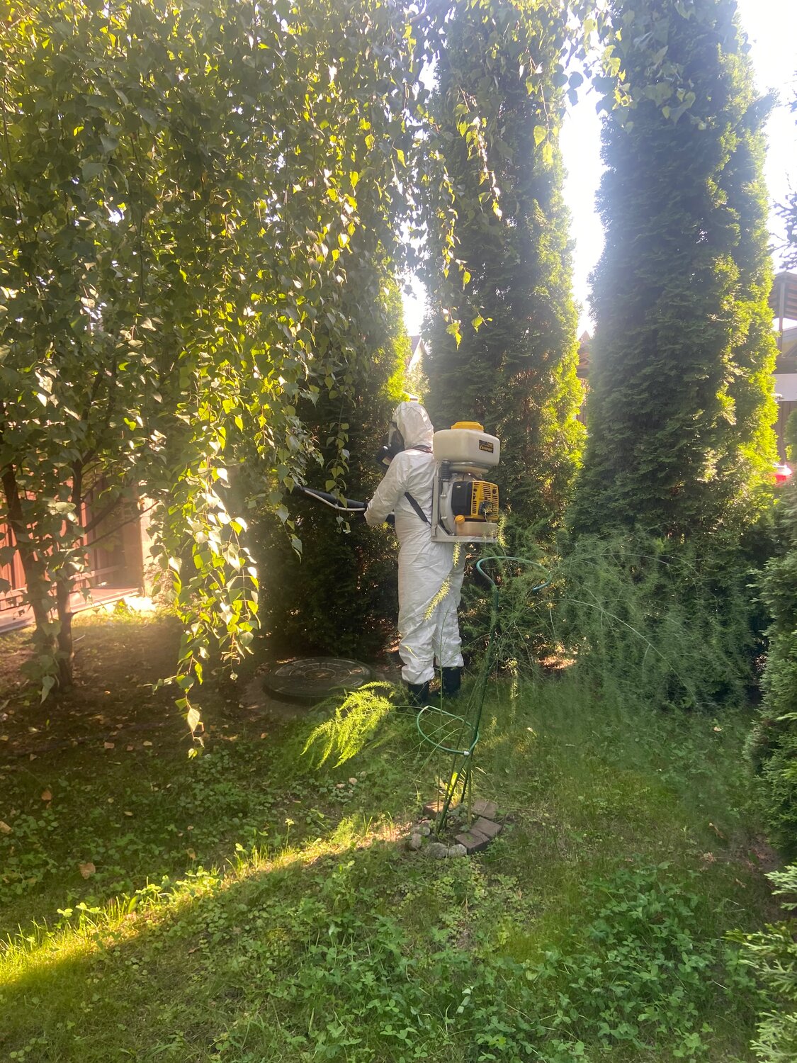 мебель, дезинсекция, обработка от клещей, обработка сада, санитарная обработка