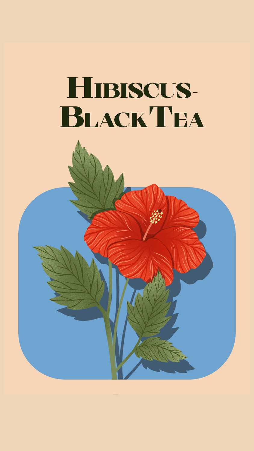 hibiscus, hibiscus flower, цветок гибискус, гибискус, растение