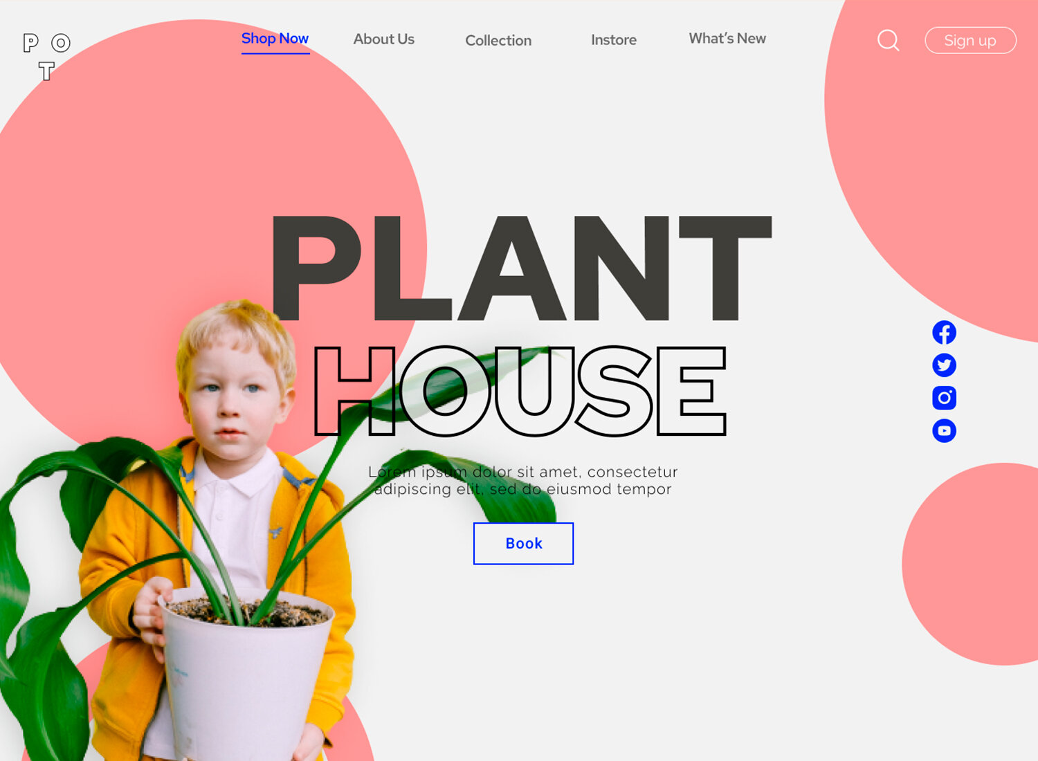 растение, дизайн, дизайн веб, растение в горшке, potted plants