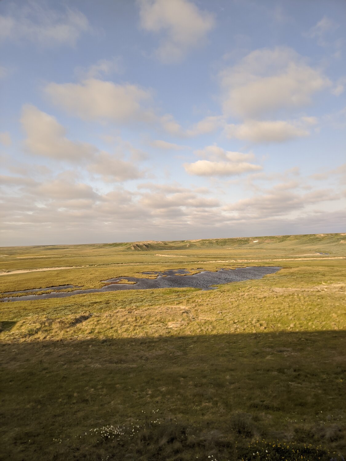 природа, пейзаж река, карта, low tide, река