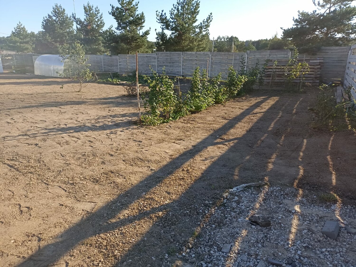 участок, загородный участок, дача, дачный участок, огород