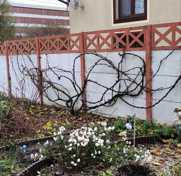 декоративный заборчик, декоративный забор, декоративная изгородь, забор, красивый забор