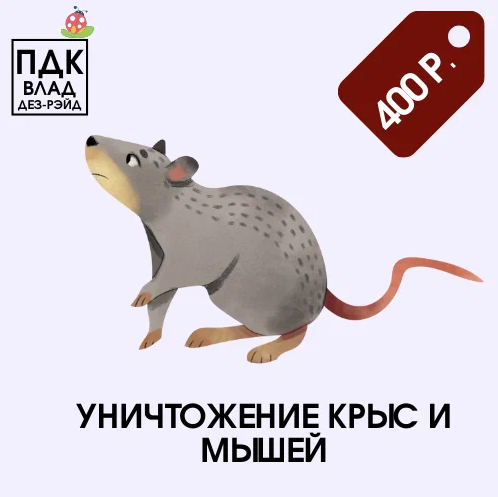 крыса, крыса серая, мышь и крыса, крыса иллюстрация, мышь серая