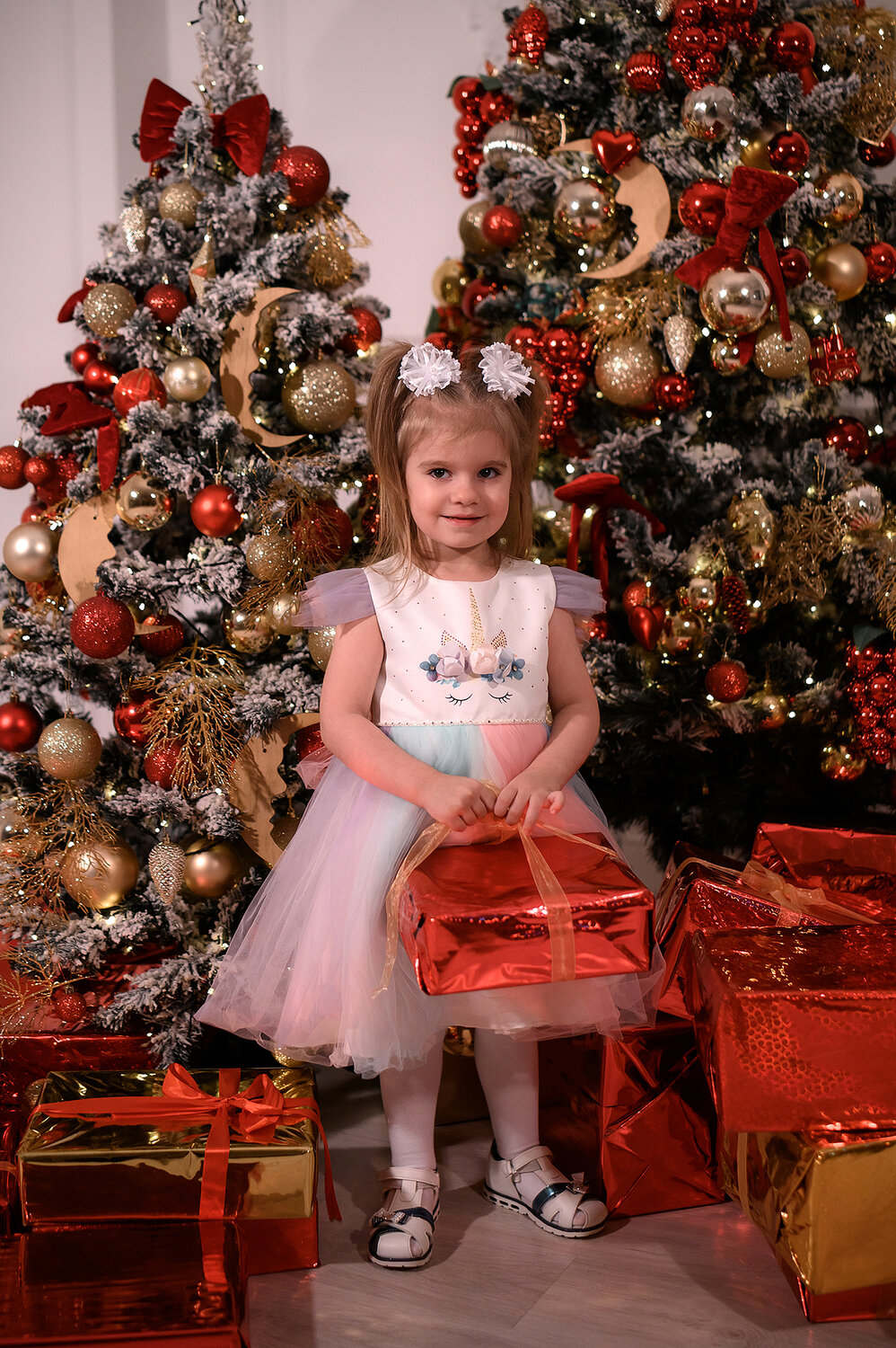 новогодняя фотосессия, новогодний ф\он девочке, ребенок, человек, новогодний