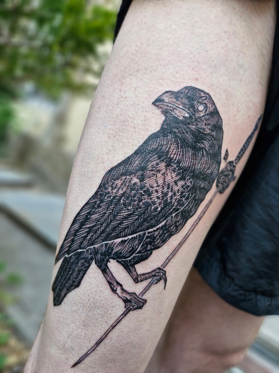 crow tattoo, ворон тату, тату с вороном на икре, татуировки с вороном, тату