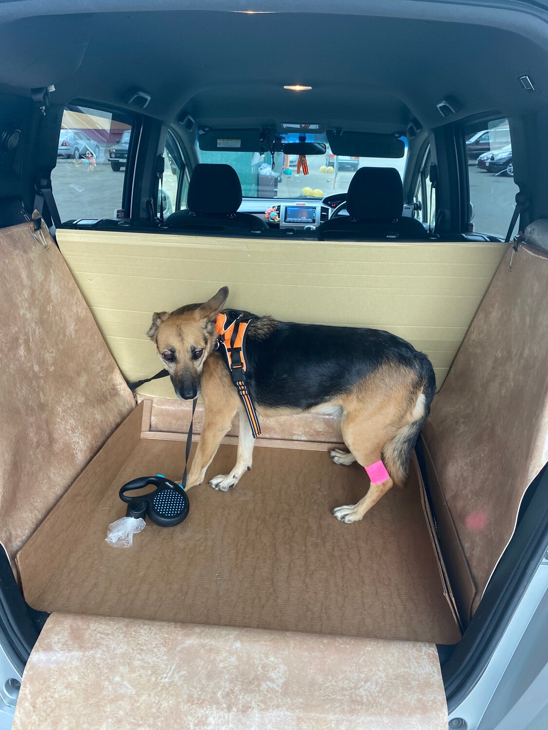 багажник subaru forester 2014, собака кобель, dog car, собака машина, собака