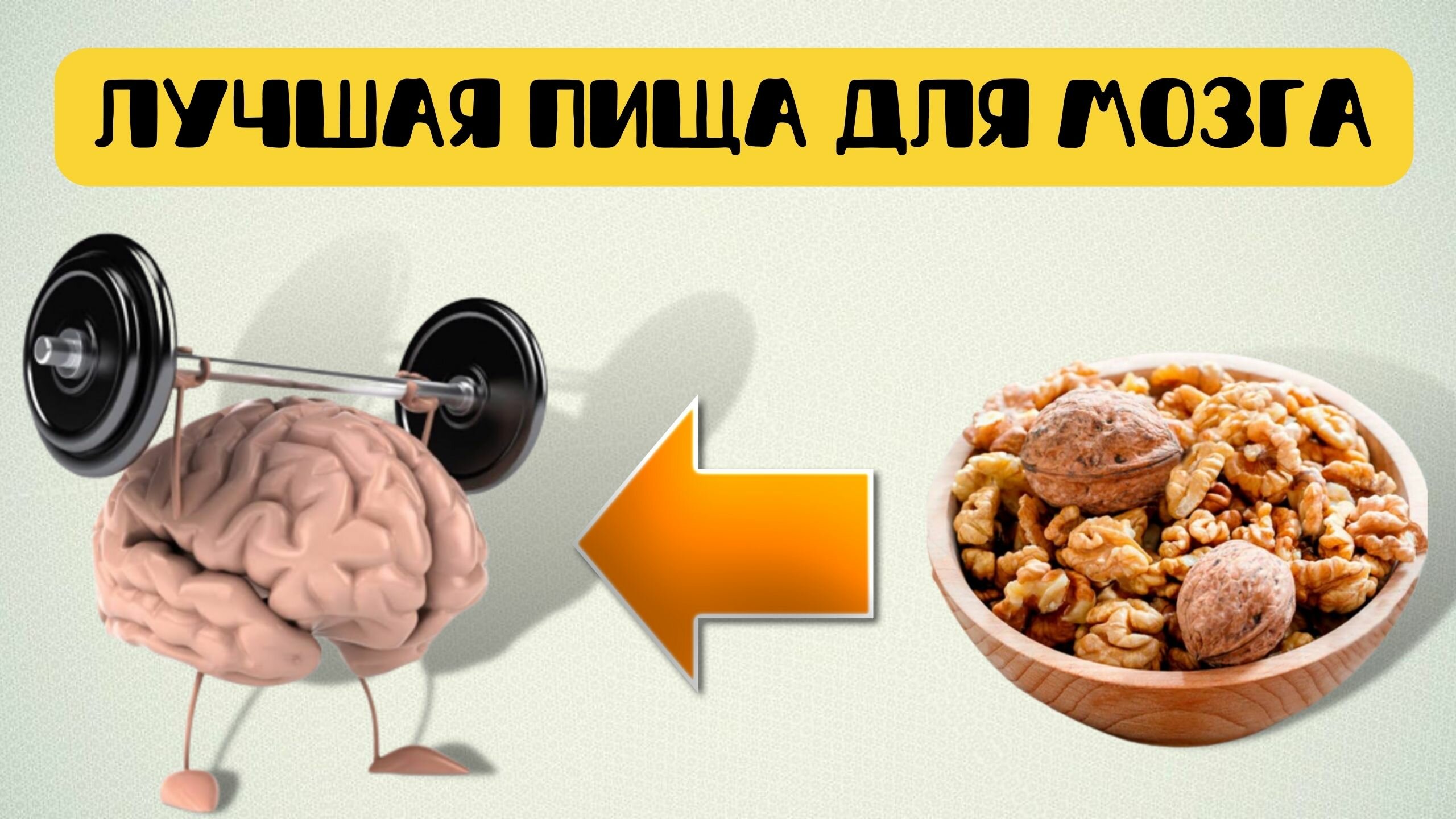 «Какие продукты полезны для мозга и памяти взрослым. Еда для мозга и ...