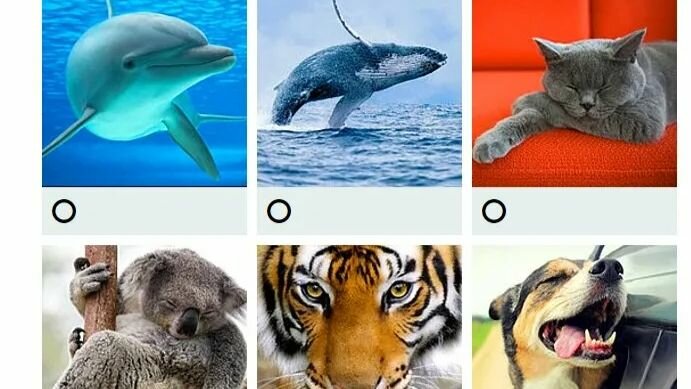 Рисунок с чем ассоциируется россия