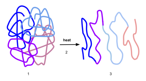 https://upload.wikimedia.org/wikipedia/commons/thumb/1/1d/Process_of_Denaturation.svg/512px-Process_of_Denaturation.svg.png