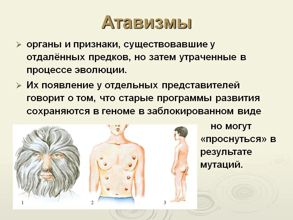 Атавизмы и их примеры Атавизмы у человека примеры блог Санатории Кавказа