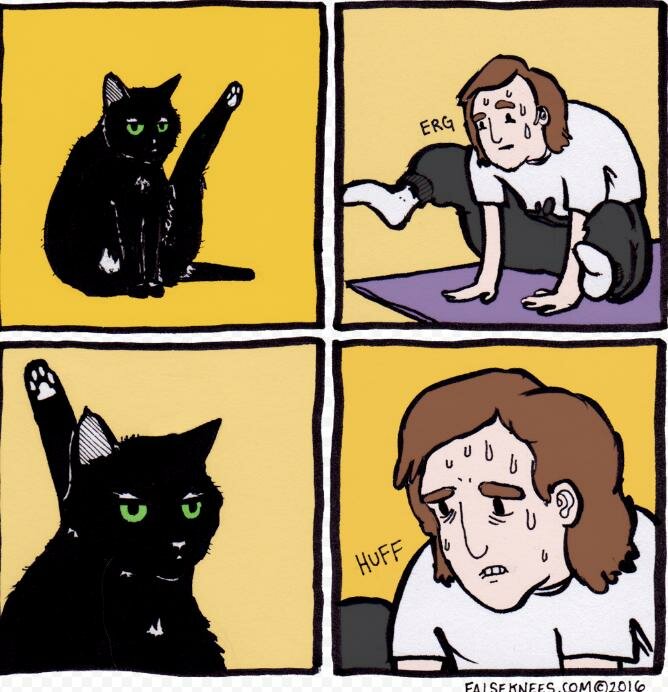 Откуда пошел мем с котом