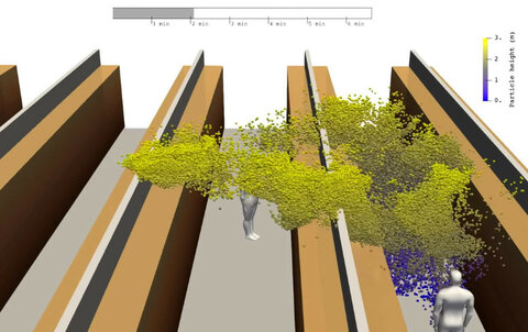 исследование коронавирус.jpg