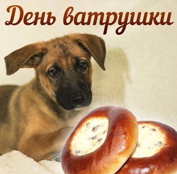 Ватрушки Мем