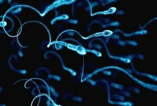 Саша Грей анал кончил