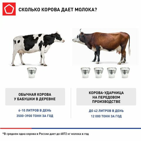 Сколько стаканов парного молока дадут 33 коровы?» — Яндекс Кью