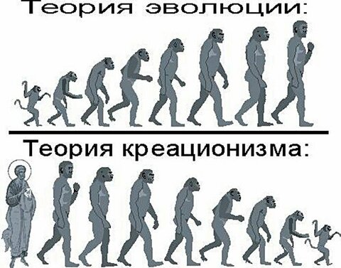 Каких шансов больше: что человек произошёл от обезьяны, или наоборот, что обезьяна  произошла от человека ?» — Яндекс Кью