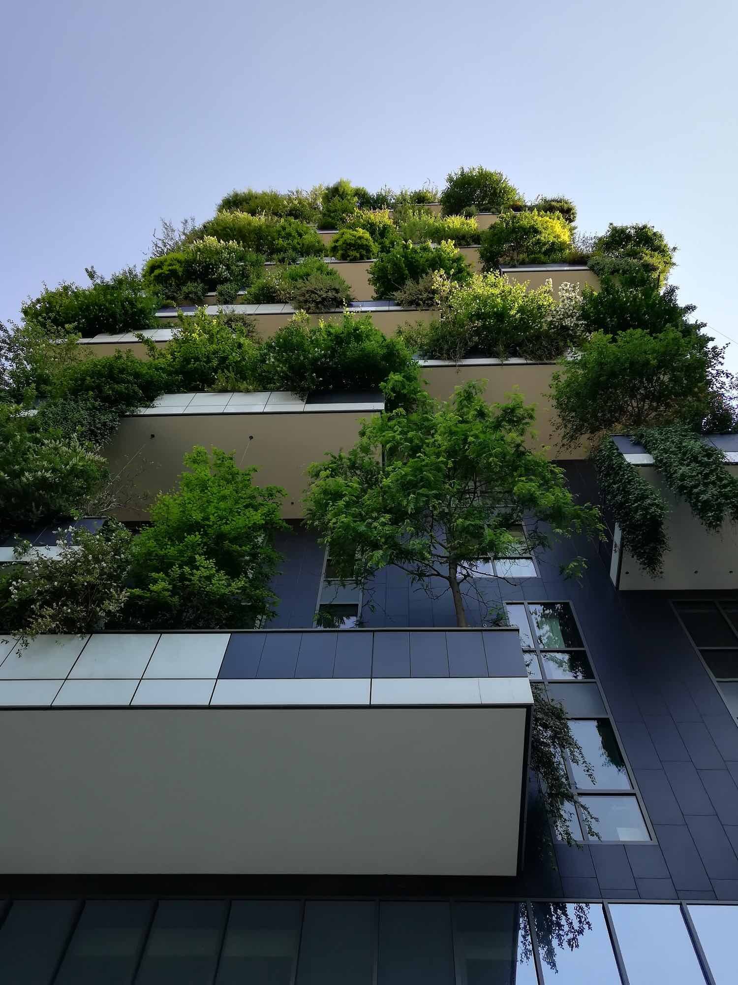 Дом с деревьями на балконах