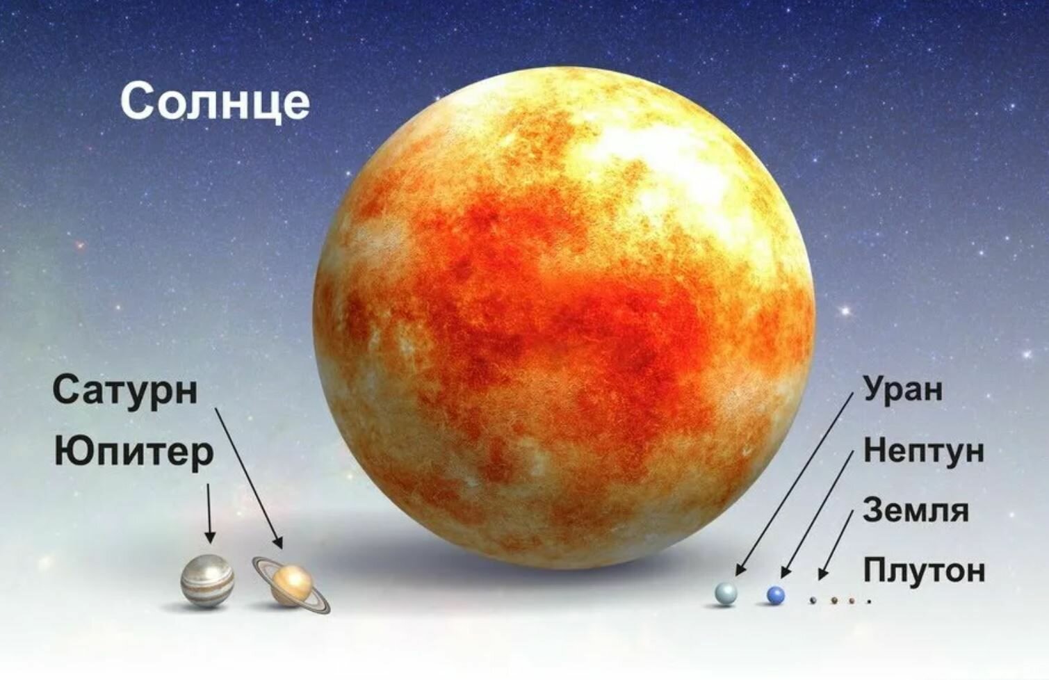 раст от земли до солнца фото 102