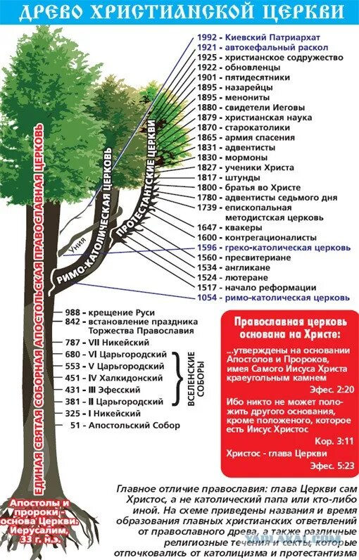 Ветви христианства схема и различия