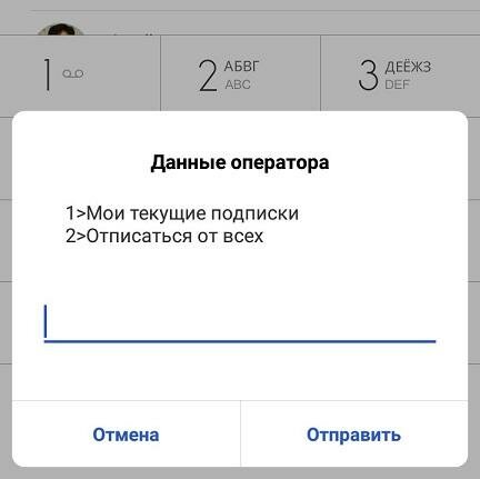 Опель сервисное меню
