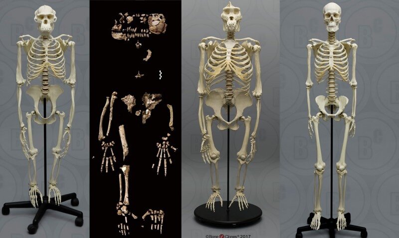 Поломничество в мир христианских традиций - внеурочная работа, мероприятия