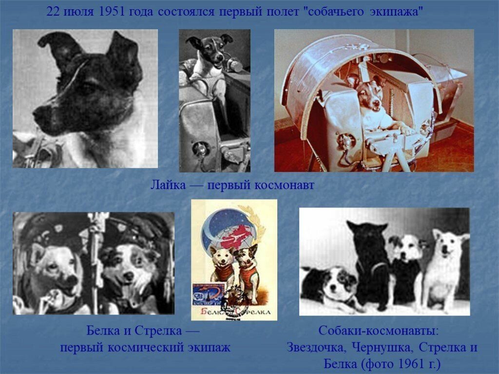 Первые космонавты картинки для детей