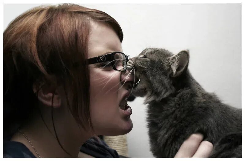 Почему кот кусает без причины? » — Яндекс Кью