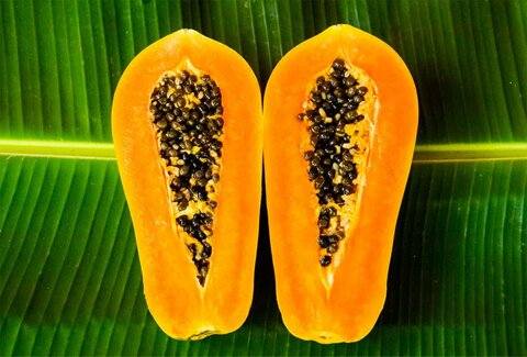 https://kumantsova.com/wp-content/uploads/2017/11/papaya-thaiskii-frukt-1024x694.jpg