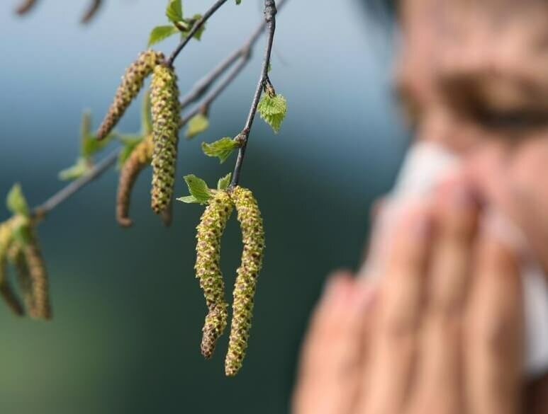 «Перекрестные свойства между пищевыми и другими группами аллергенов ...
