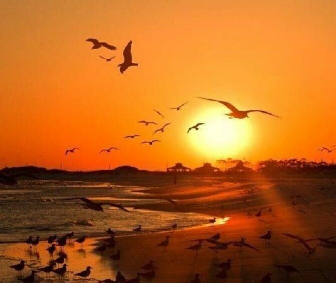 Засыпай с мечтой просыпайся с целью картинки