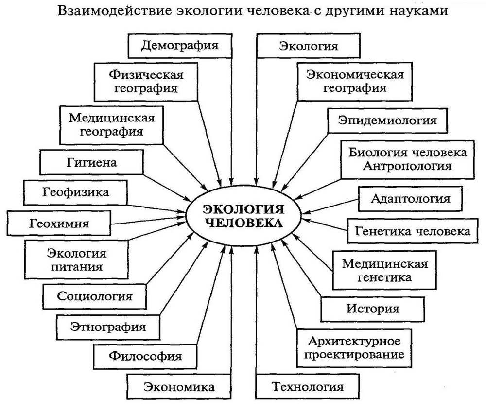 Составьте схему отражающую ваше представление о многообразии связей человека с окружающим миром