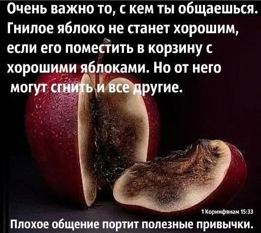 Как выглядят гнилые люди
