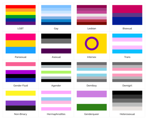 1325px-LGBT_Pride_Flags.png