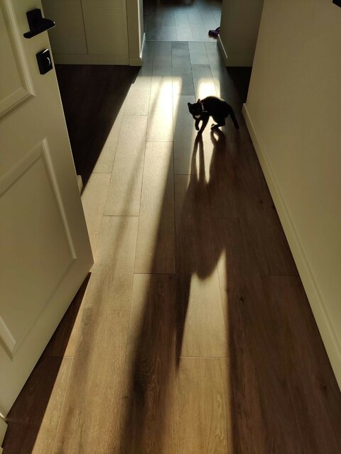 photo_2020-12-09 16.58.03.jpeg