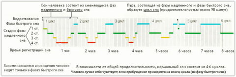 fazy-sna