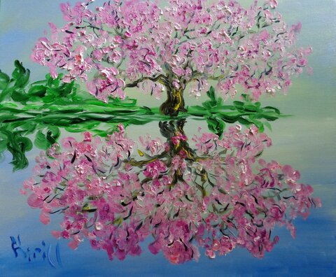 сакура розовое дерево 3.JPG