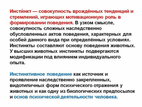 ИНСТИНКТ 21.jpg