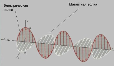 элм5.jpg