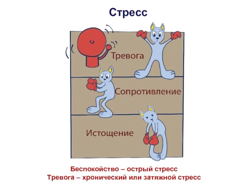 СТРЕСС, ТРЕВОГА, СТРАХ – как это все взаимосвязано. Способы снятия стресса»  — Яндекс Кью