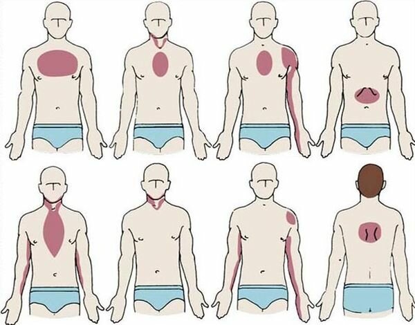 Где Болит Сердце У Человека Фото