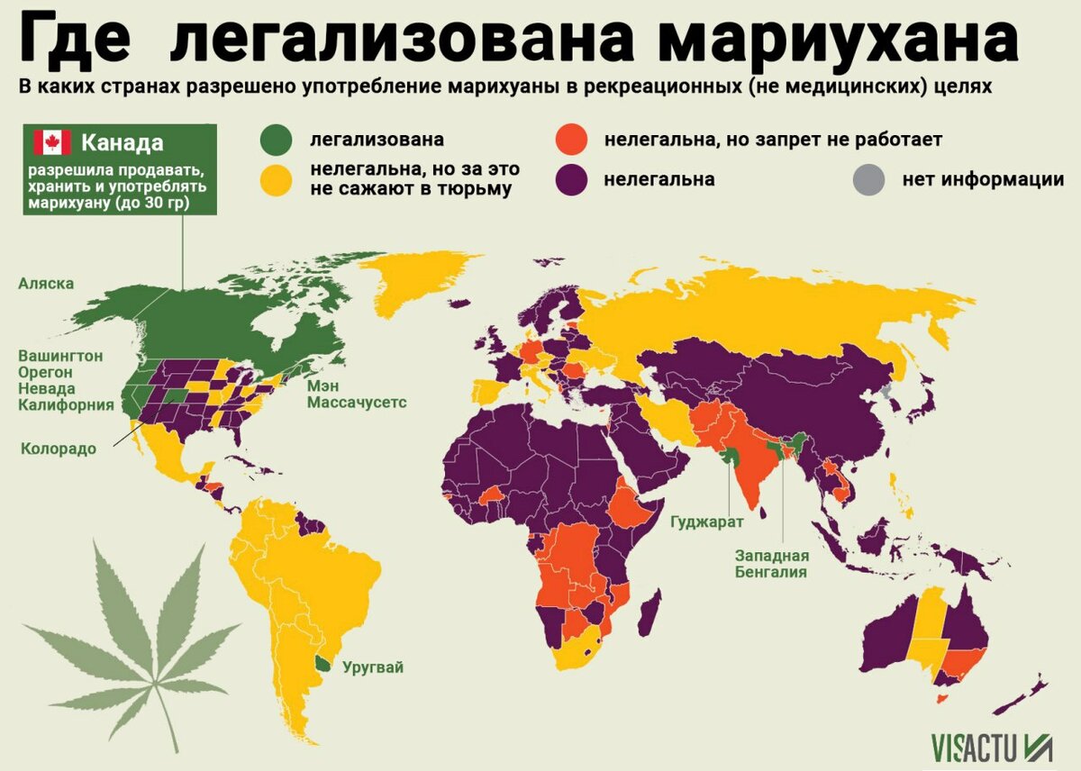Разрешения на курения марихуаны в россии как влияет конопля на давление человека
