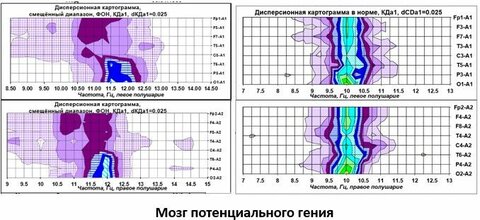 Потенциальный гений.jpg