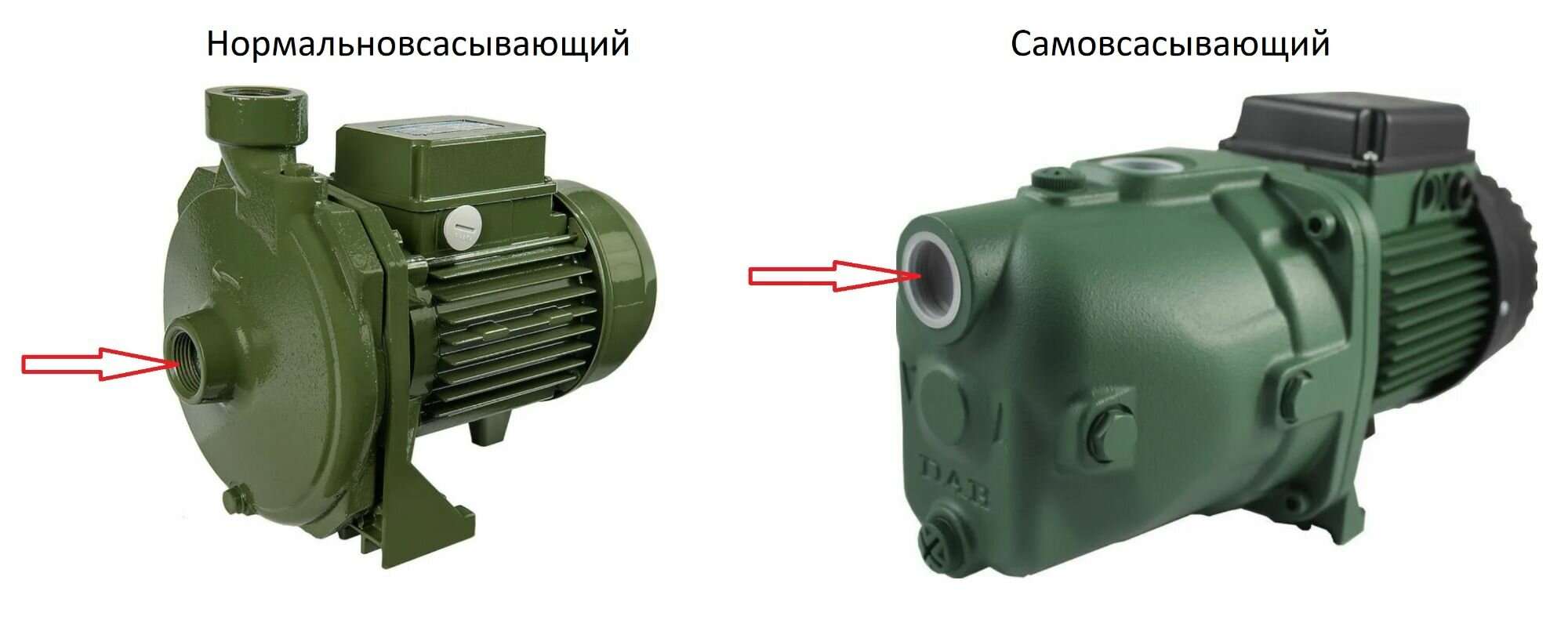 «Поверхностные насосы. Нормальновсасывающие с центробежным колесом ...