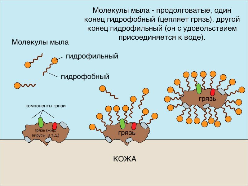 Схема отражающая строение молекулы мыла условные обозначения