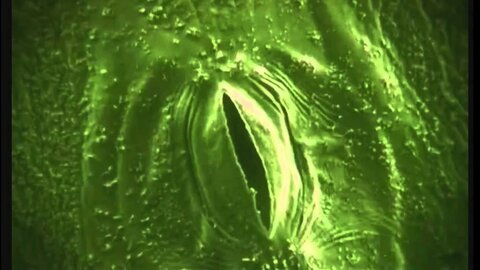 2maxresdefault (1).jpg