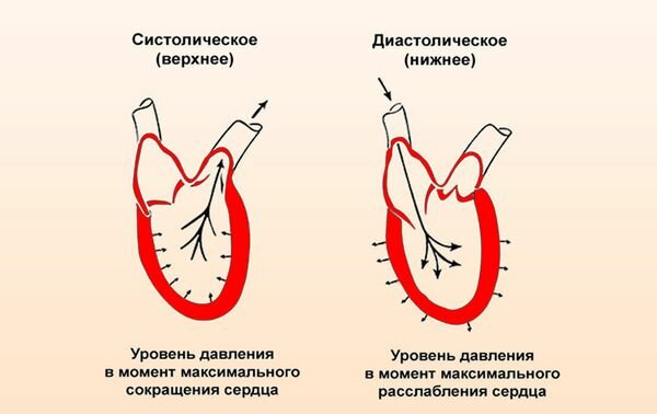 Почему нижнее давление 60 обычно и что это означает?