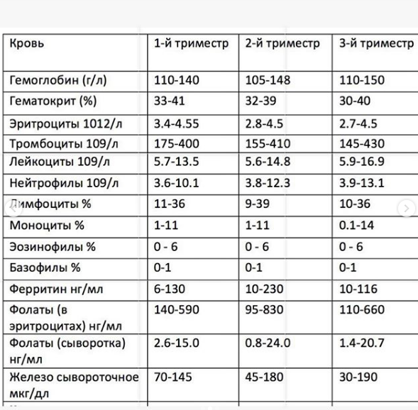 Крови При Беременности Фото
